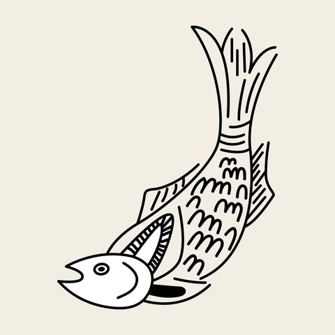 Carp leaping sketch — Korean traditional fish motif vector (물고기문 10261)