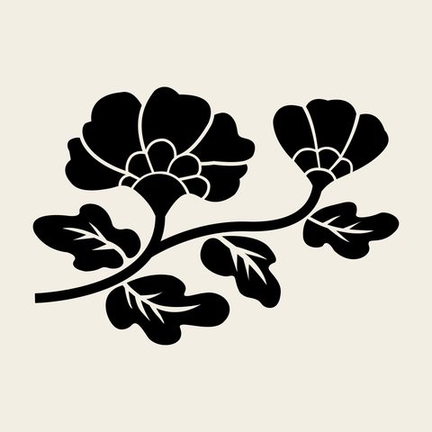 Chrysanthemum spray — Korean traditional chrysanthemum motif vector (국화문 9029)
