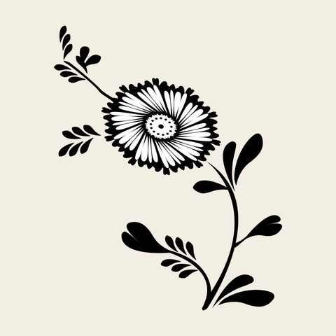 Chrysanthemum sprig — Korean traditional chrysanthemum motif vector (국화문 8824)
