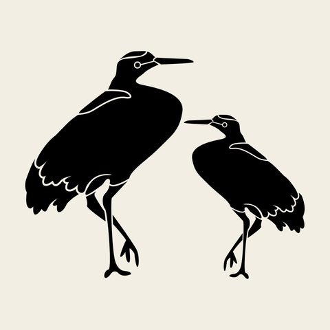 Heron pair wading — Korean traditional crane motif vector (학문 5587)