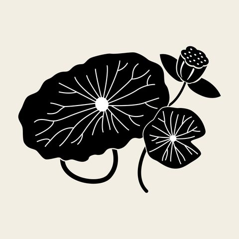 Lotus leaf pad — Korean traditional leaf motif vector (잎사귀문 10873)