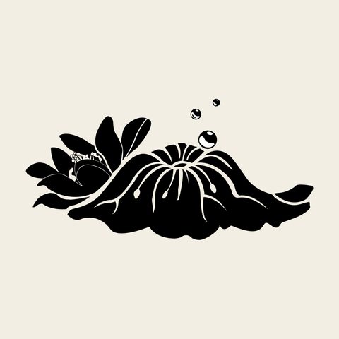Lotus pond sprig — Korean traditional bloom motif vector (연꽃문 5886)