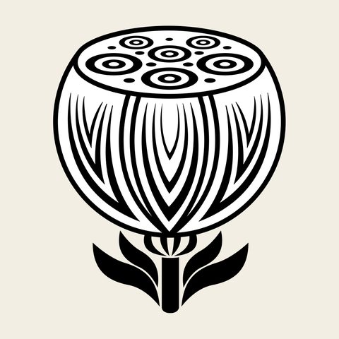 Lotus seedpod — Korean traditional bloom motif vector (연꽃문 8863)