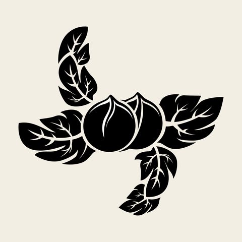 Peach branch — Korean traditional fruit motif vector (복숭아문 9674)