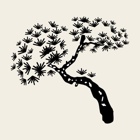 Pine tree branch — Korean traditional tree motif vector (소나무문 9584)