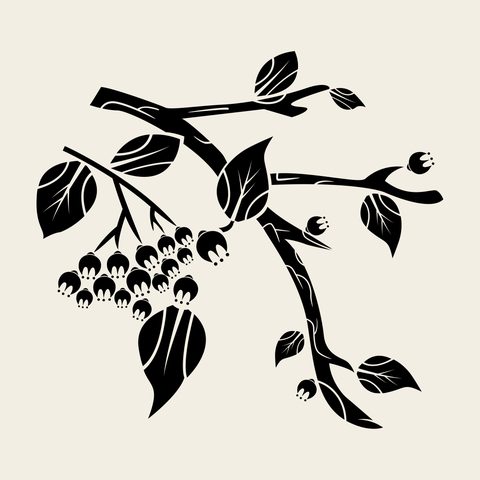 Tree berry branch — Korean traditional tree motif vector (나무문 9730)