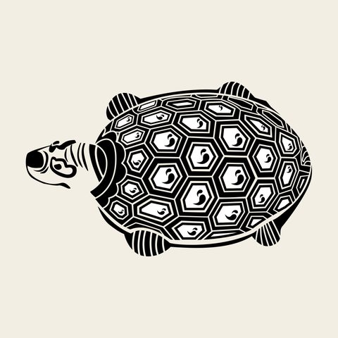 Turtle hex shell side — Korean traditional turtle motif vector (거북문 9985)