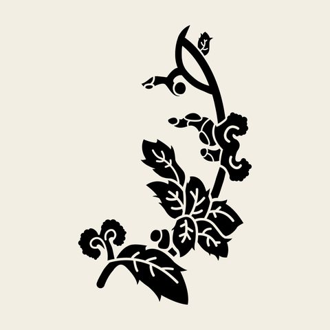 Vine leaf spray — Korean traditional vine motif vector (덩굴문 9661)