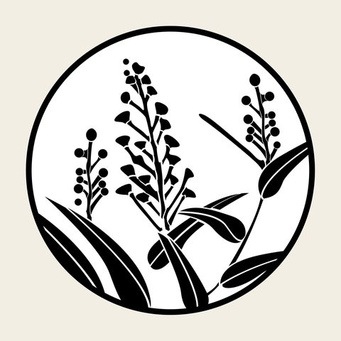 Wildflower roundel — Korean traditional blossom motif vector (풀꽃문 9103)